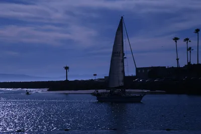 DSC_0832 (Large).JPG